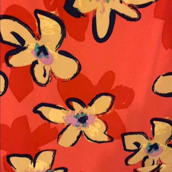 Lularoe Nicole (no pocket) - Picture 3 of 4